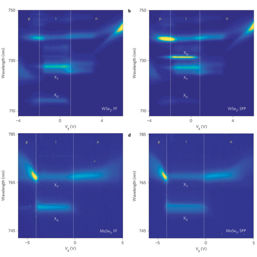 Illuminating the dark excitons | Department of Chemistry and Chemical ...