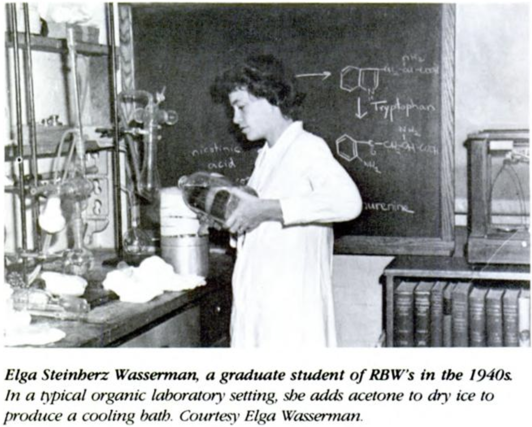 Elga Wasserman