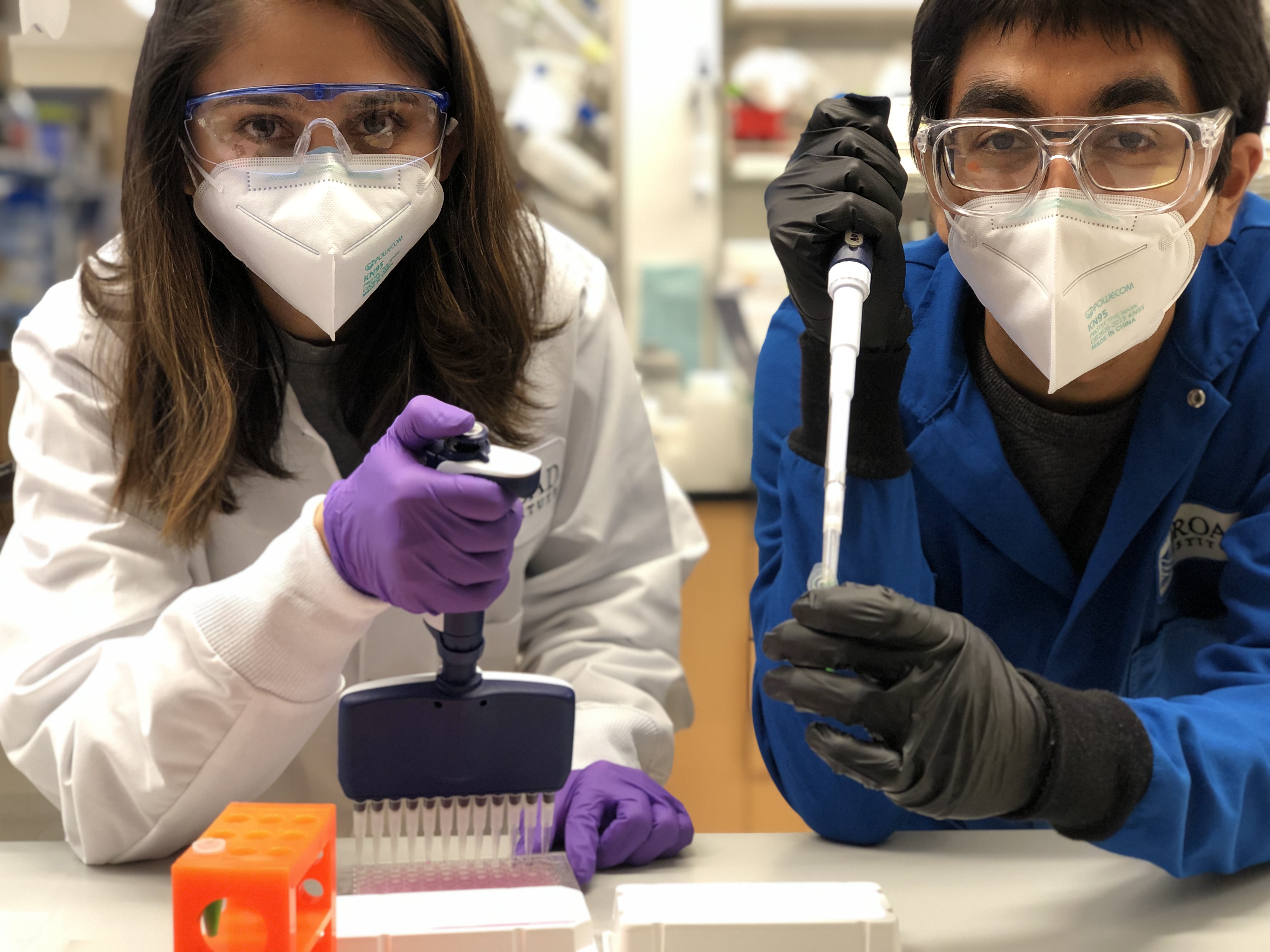Postdoctoral Fellow Samagya Banskota (Left) and Graduate Student Aditya Raguram (Right), co-lead authors, investigate in vivo delivery of therapeutic proteins at the Liu Lab. Credit: Julia McCreary/ Harvard graduate student.