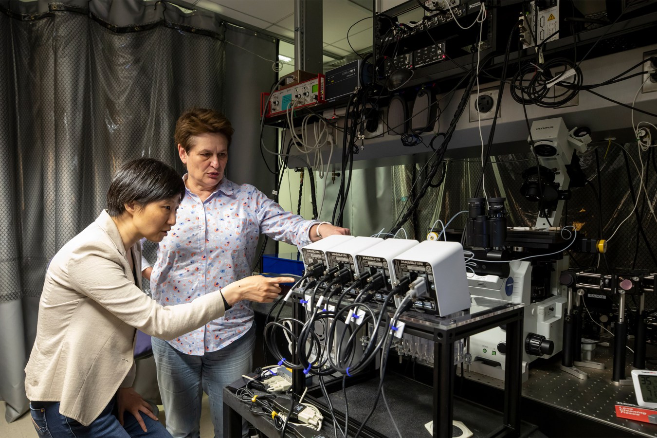 In her lab, Xiaowei Zhuang (left) developed imaging technology that she and Catherine Dulac utilized to create a cellular atlas of a key area in the brains of mice