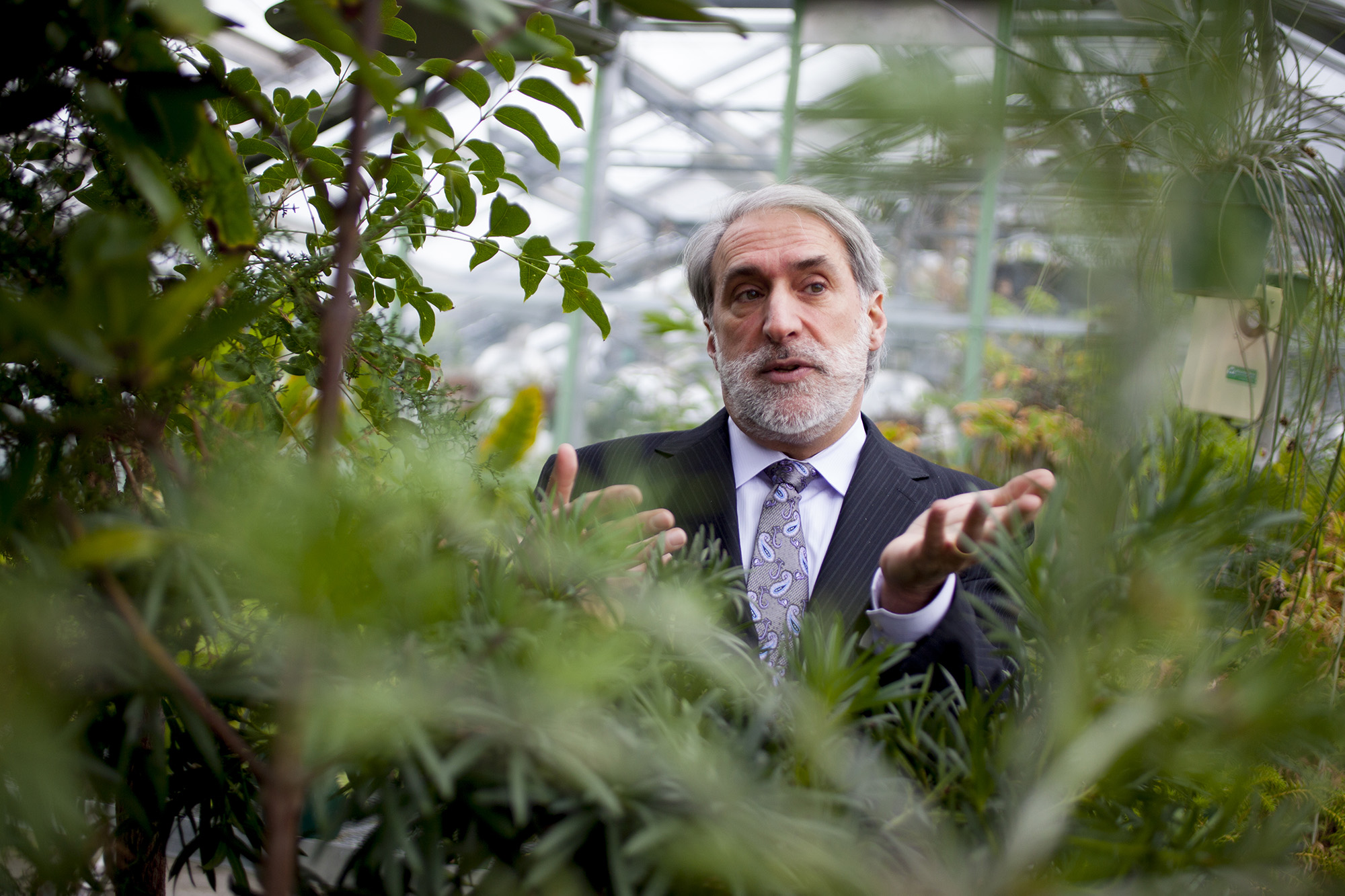 Daniel Nocera's artificial leaf can generate ten times more energy than the ones surrounding him