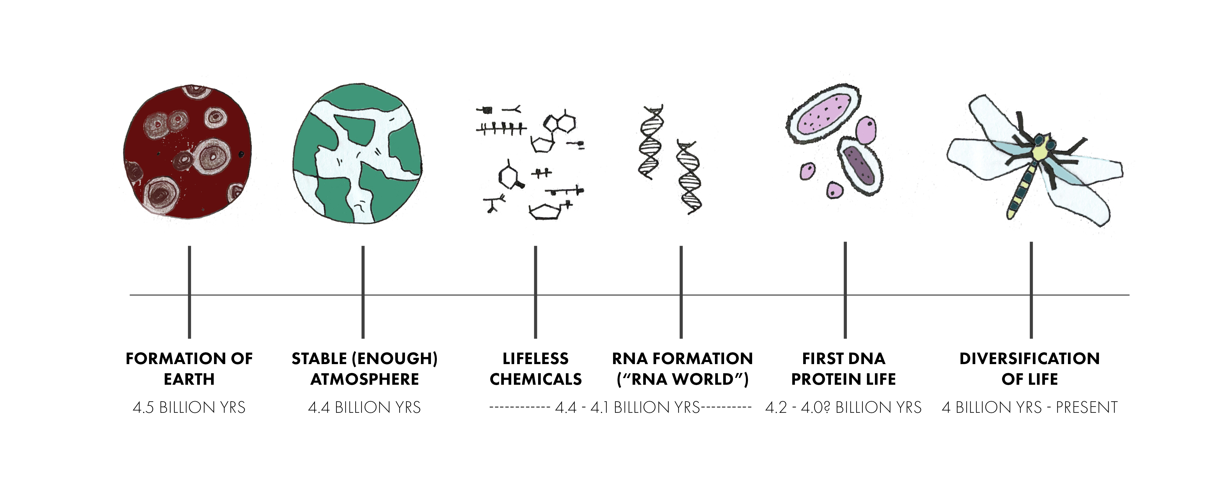 A timeline with illustrations of the major developments in the origins of life