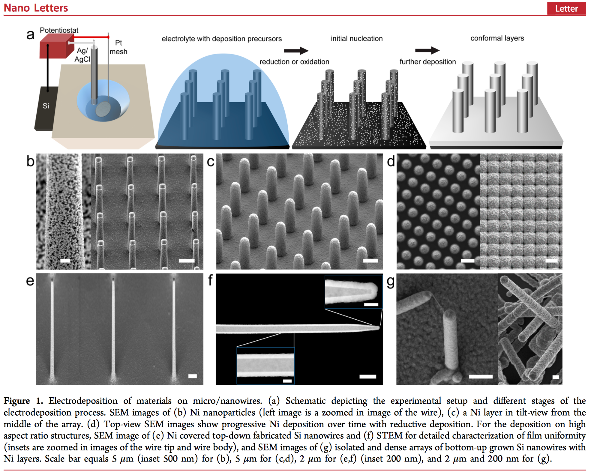 Electrodeposition of materials on micro/nanowires