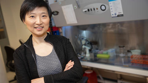 A photo of Xiaowei Zhuang in her lab