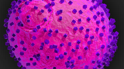 Solar panels for yeast cell biofactories - Nocera