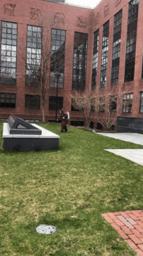 A gif of a landscaper spraying fertilizer on a lawn on Harvard's campus