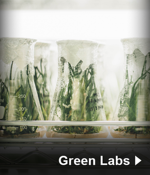 Green Labs
