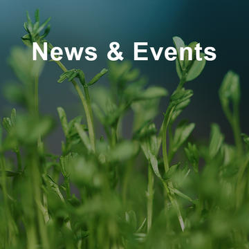 News & Events