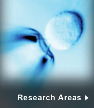 Research Areas
