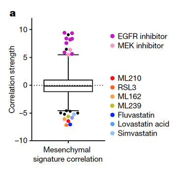 Dependency of a therapy-resistant state of cancer cells on a lipid peroxidase pathway