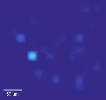 Intracellular mapping of about 65 neurons upon a drug application