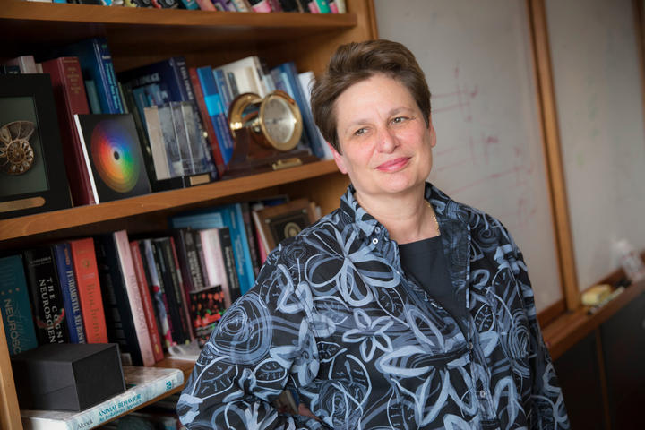A photo of Catherine Dulac sitting in front of a bookcase in her office