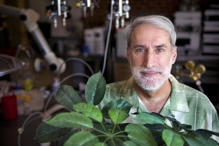 A photo of Professor Daniel Nocera standing behind a plant in his lab
