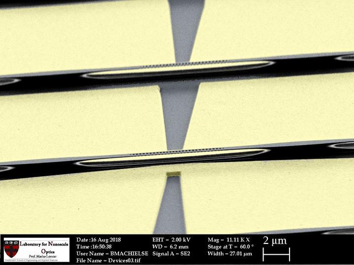 A scanning electron micrograph (SEM) of the devices used in this experiment.