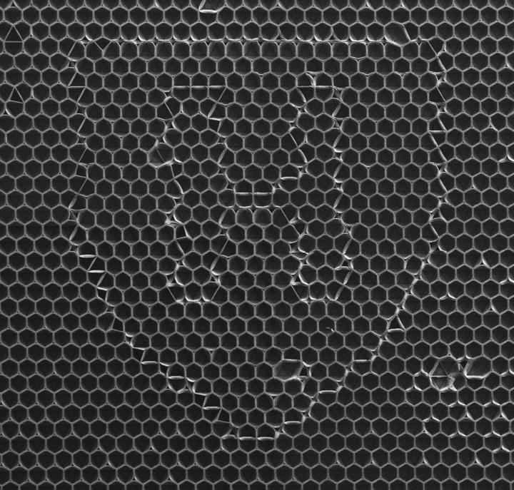 Image of the Harvard shield encrypted in transformable materials