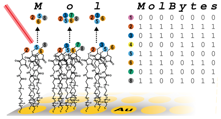 Pairing molecule mass and binary code, the Whitesides team can 