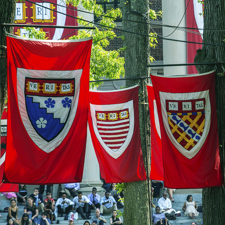 Harvard Flags during the 2018 Graduation festivities