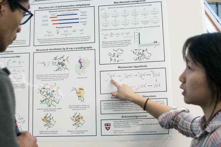 Two symposium attendees discuss a poster
