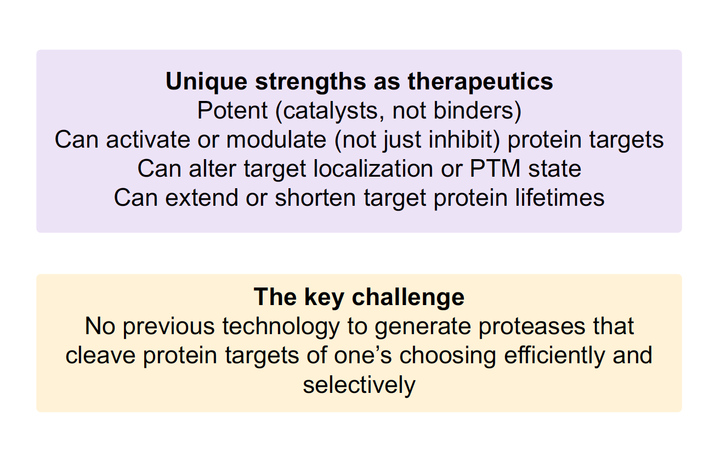 A list of the unique strengths of proteases as therapeutics (potent, can activate or modulate, can extend or shorten target protein lifetimes) and the key challenge (no previous technology could generate bespoke proteases)