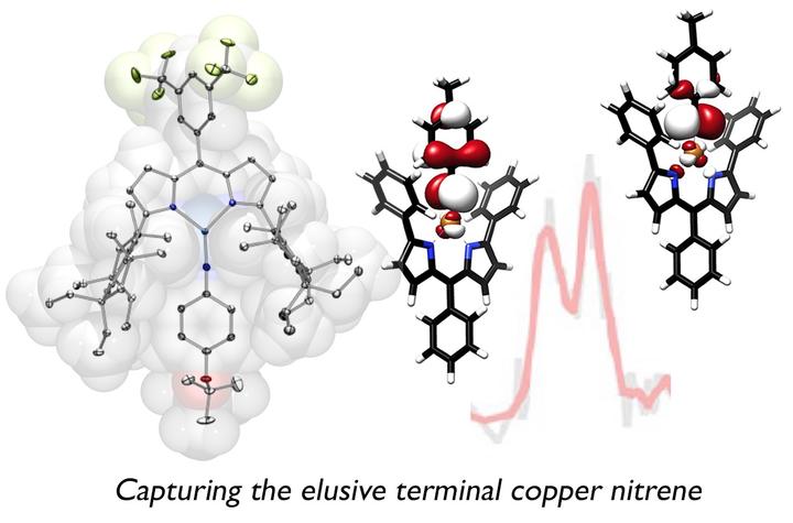 The elusive terminal copper nitrene