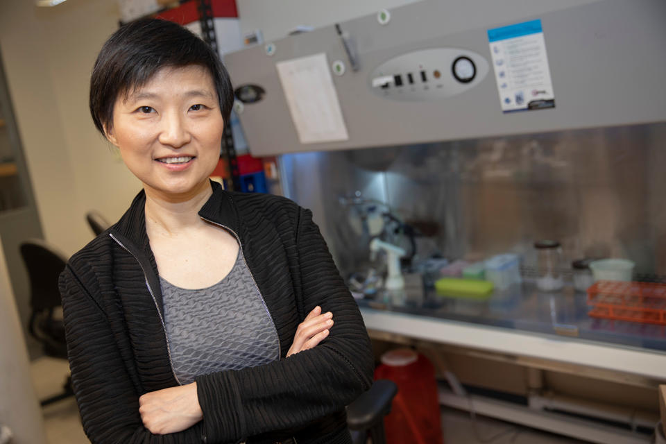 A photo of Xiaowei Zhuang in her lab