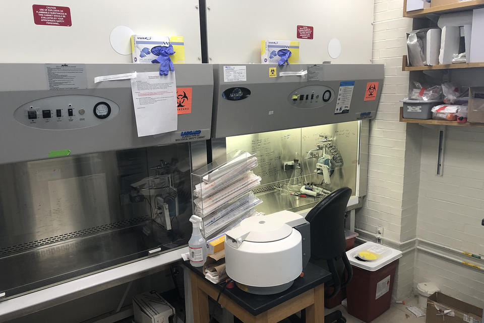 A photo of a biosafety cabinet in the Balskus lab