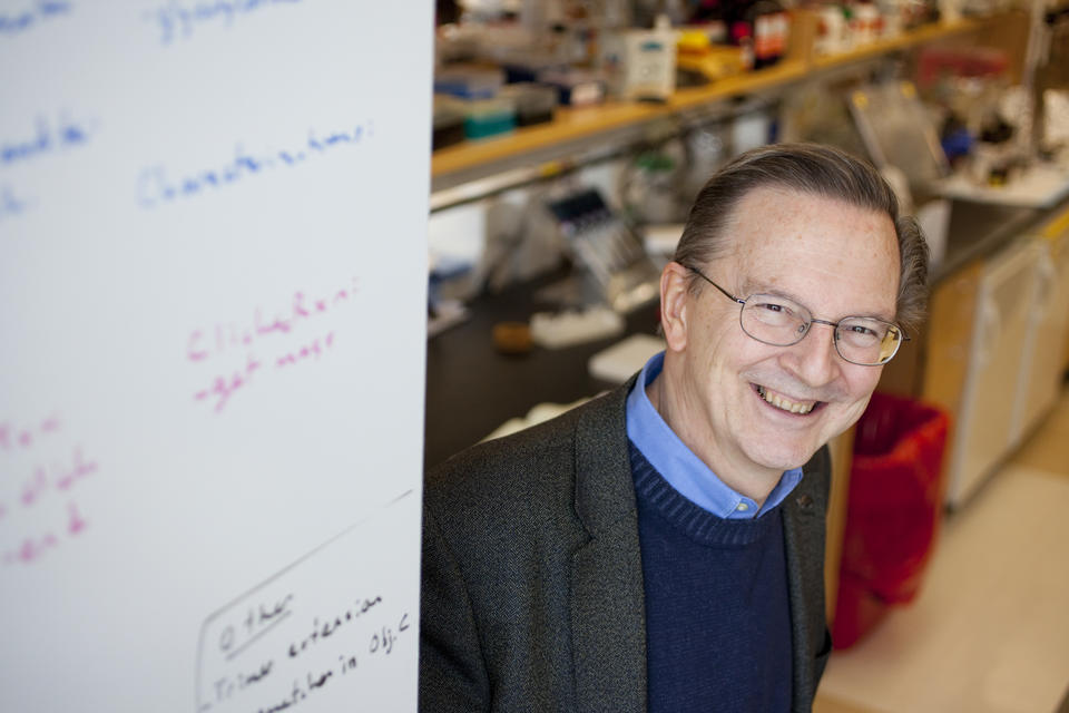 Professor Jack Szostak