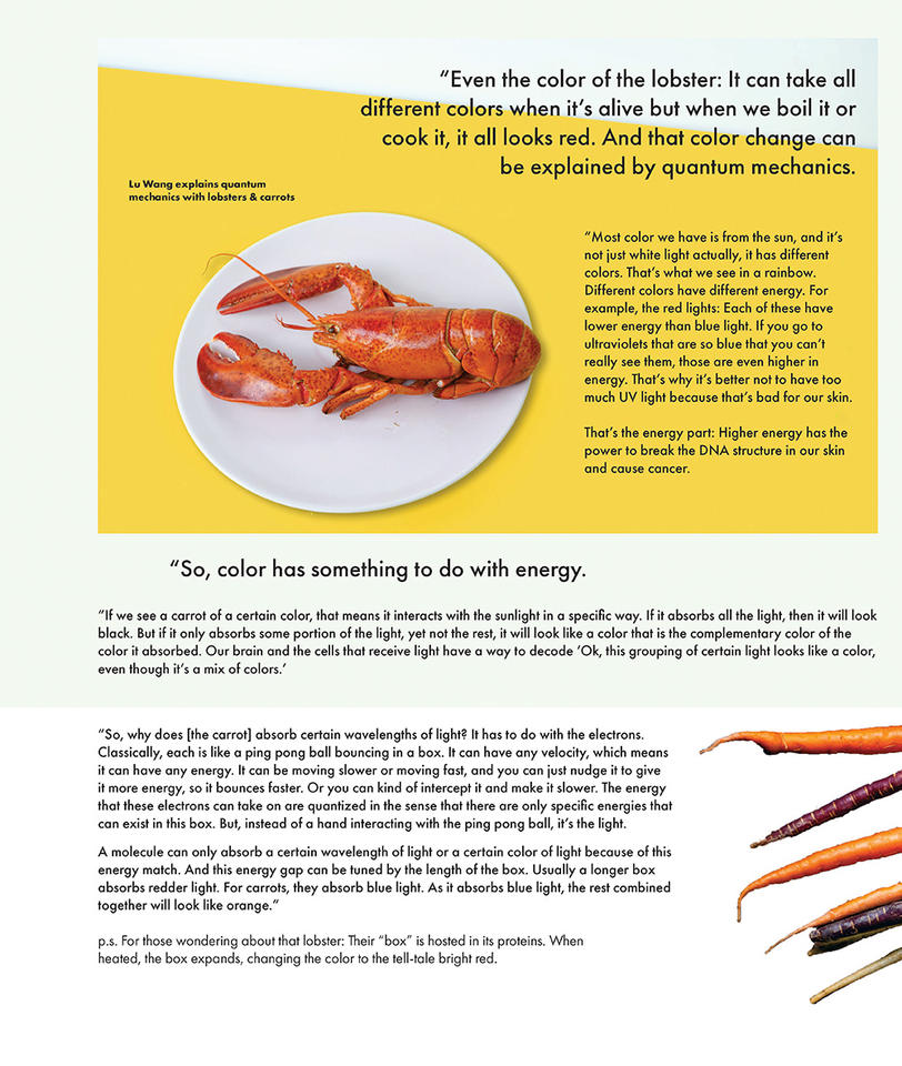 A photo of a cooked lobster and Lu Wang's explanation for why lobsters change color