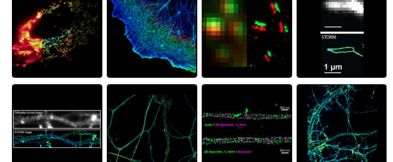 The Zhuang Lab's STORM Image Gallery