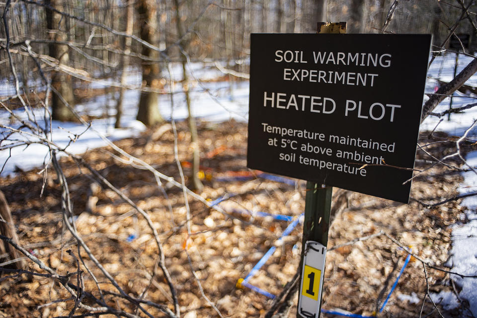 An image of a sign in a forest that says 